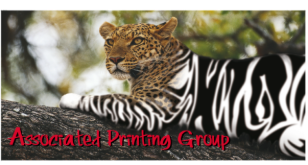 electrician for associated printing group