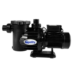 Quality 0.75kW Pump And Motor Swimflo 2